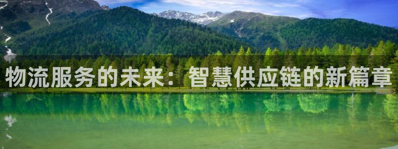 多多28p扣除是什么意思：物流服务的