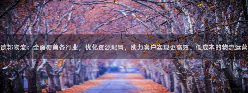 多多28黑钱：德邦物流：全面覆盖各行