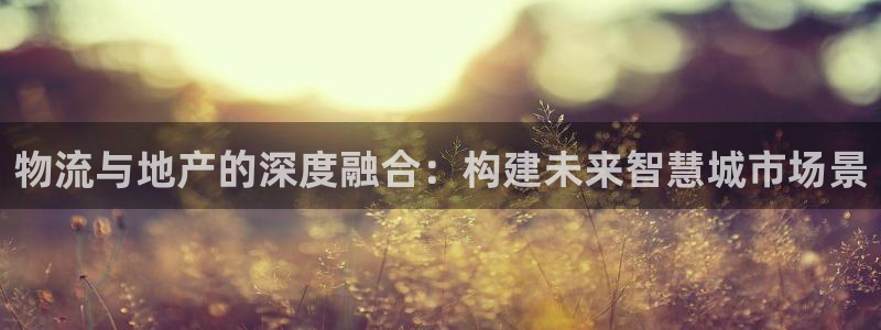 多多28官网平台：物流与地产的深度融