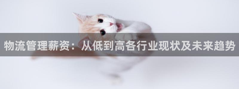多多28官网入口app：物流管理薪资