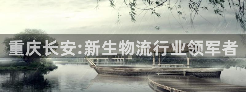 多多28pg麻将胡了：重庆长安:新生