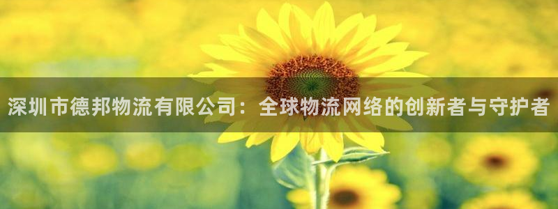 多多28娱乐官网网页入口：深圳市德邦