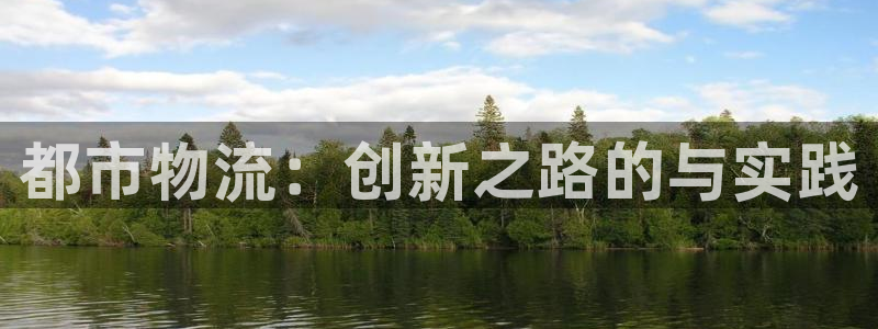 多多28加拿大最新版：都市物流：创新