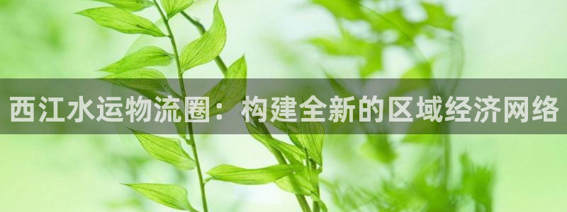 多多28官网网站：西江水运物流圈：构