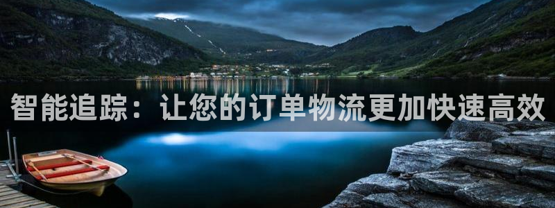 多多28是正规平台吗：智能追踪：让您的订单物流更加快速高效