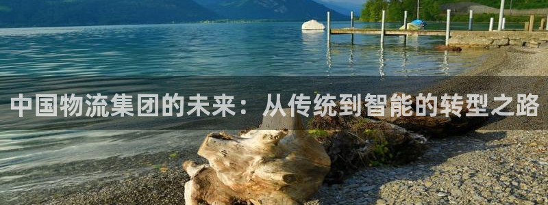 多多28链接多少：中国物流集团的未来