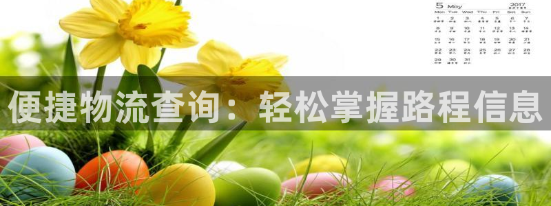 多多28注册账号：便捷物流查询：轻松