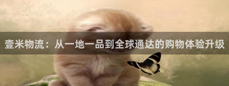 多多28官方网站：壹米物流：从一地一品到全球通达的购物体验升
