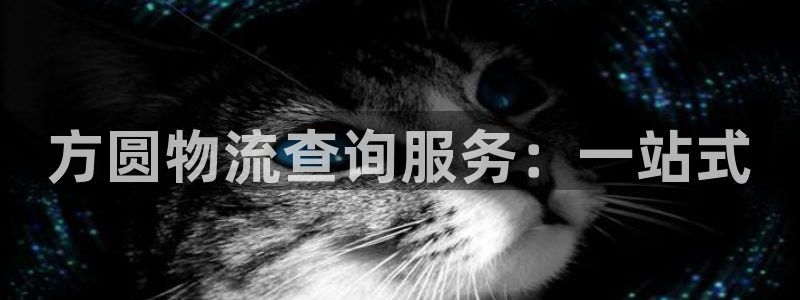 多多28连接：方圆物流查询服务：一站