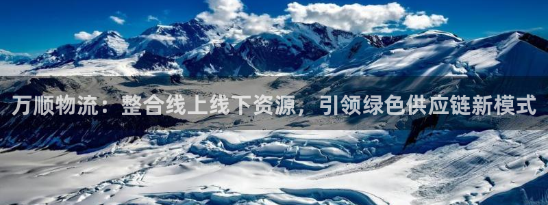 多多28绿骨头：万顺物流：整合线上线