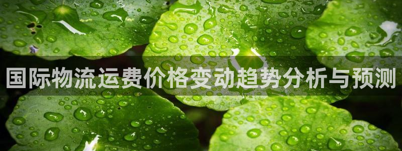 多多28pg如何退钱：国际物流运费价