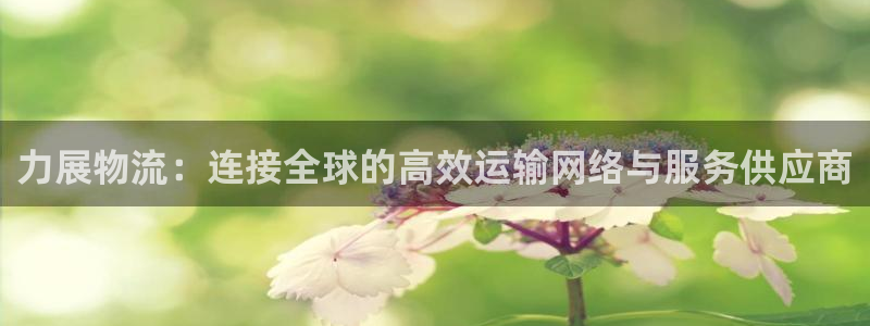 多多28怎么注册下载：力展物流：连接