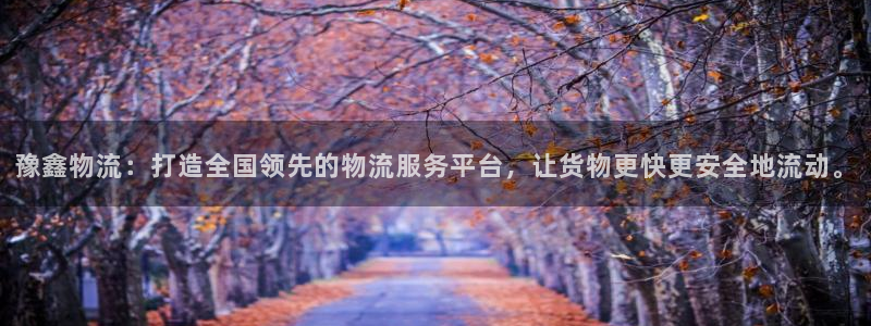 多多28官方官网：豫鑫物流：打造全国