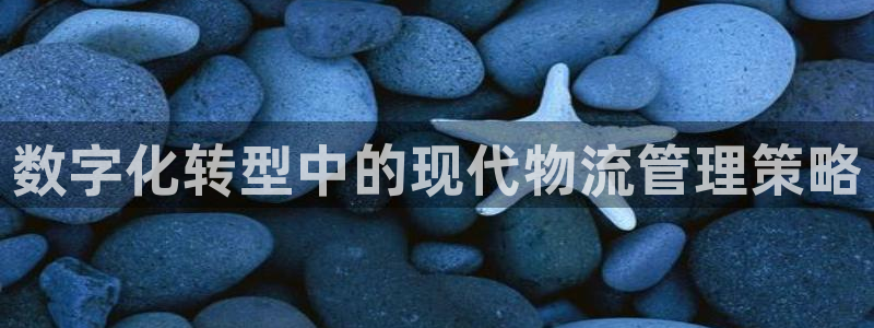 多多28如何看计划：数字化转型中的现