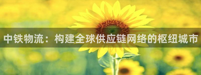 多多28辅助