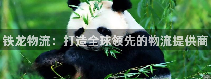 多多28app官网少林足球：铁龙物流