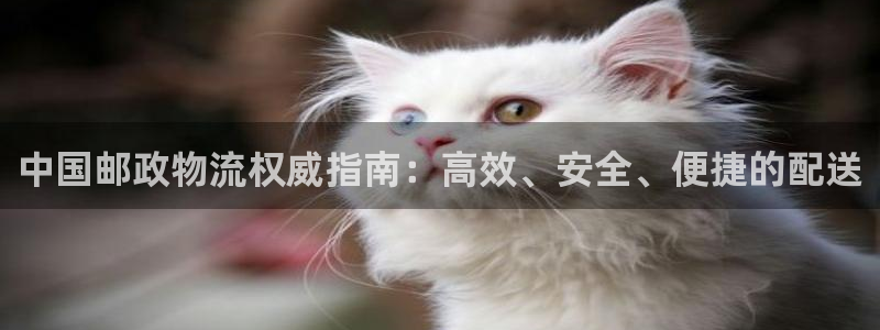 多多28app注册地址：中国邮政物流