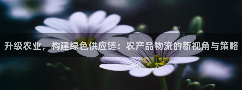 南宫多多28官网版