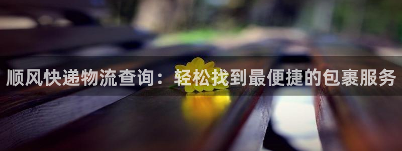 多多28充值为什么充不了:顺风快递物