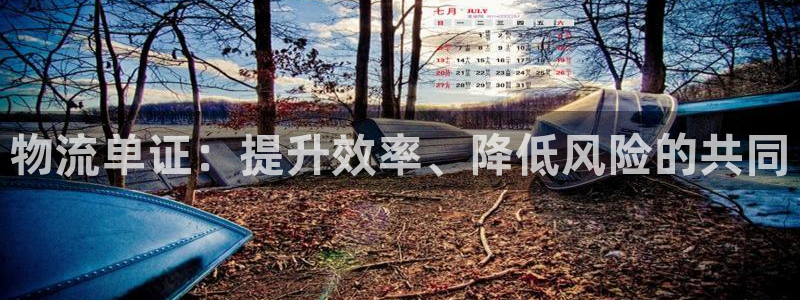 多多28分分28预测:物流单证:提升