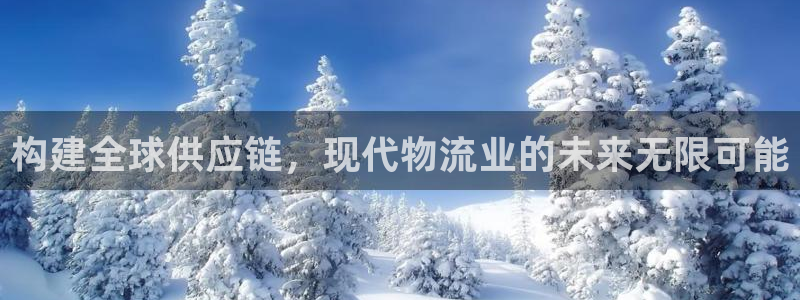 多多28充值方式:构建全球供应链,现