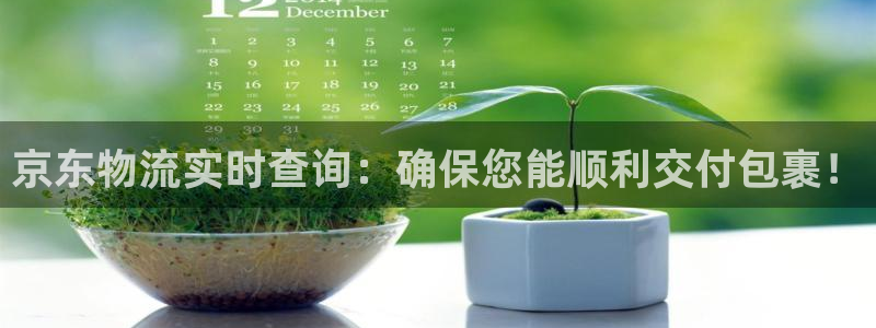 多多28pg麻将胡了：京东物流实时查