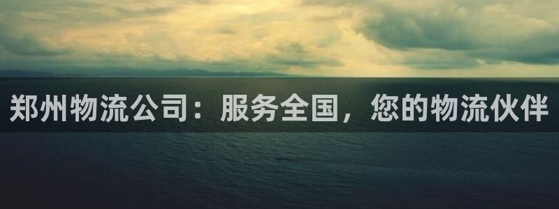 多多28流水怎么算:郑州物流公司:服