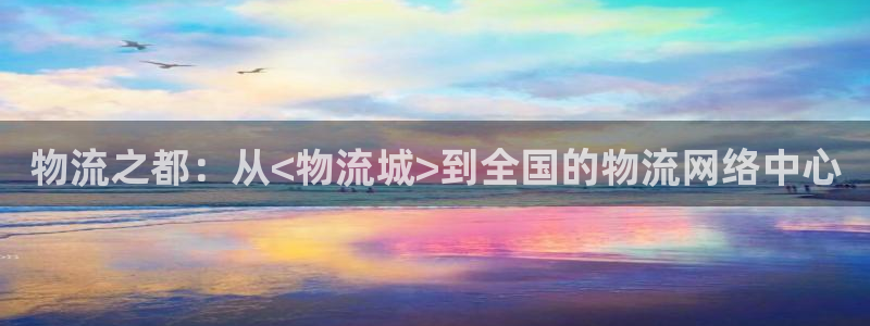 多多28初始资金密码是什么:物流之都