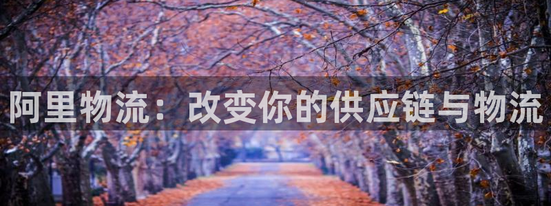 多多28充值不到账什么原因