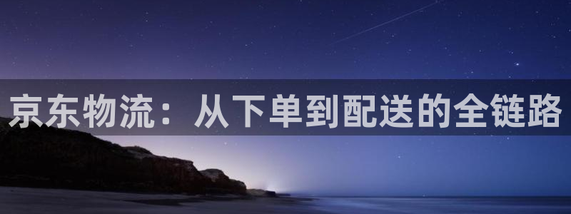 多多28在线预测官网：京东物流：从下