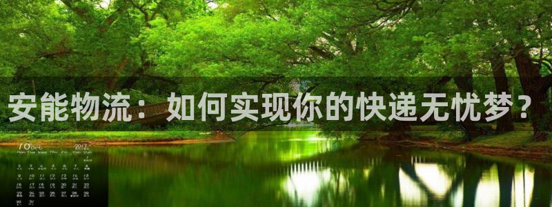 多多28犯法吗：安能物流：如何实现你