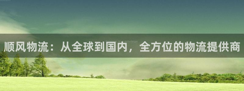 多多28模拟器：顺风物流：从全球到国