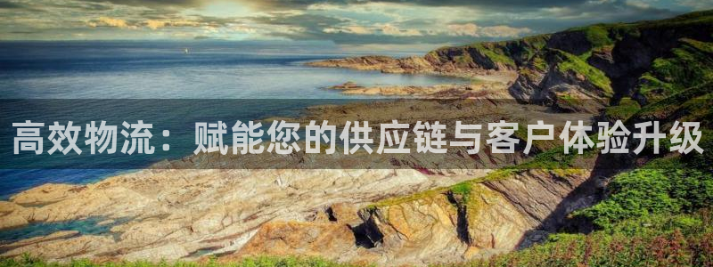 多多28能不能退：高效物流：赋能您的